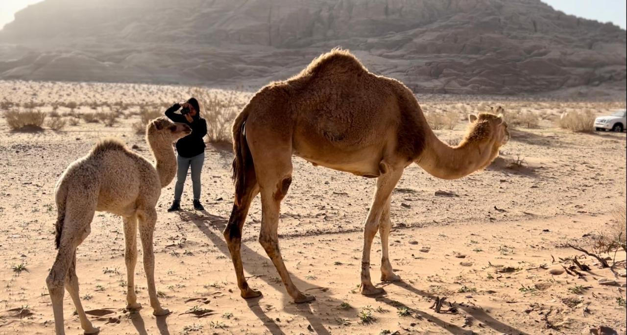 Wadi Rum Protected Area Camp Esterno foto