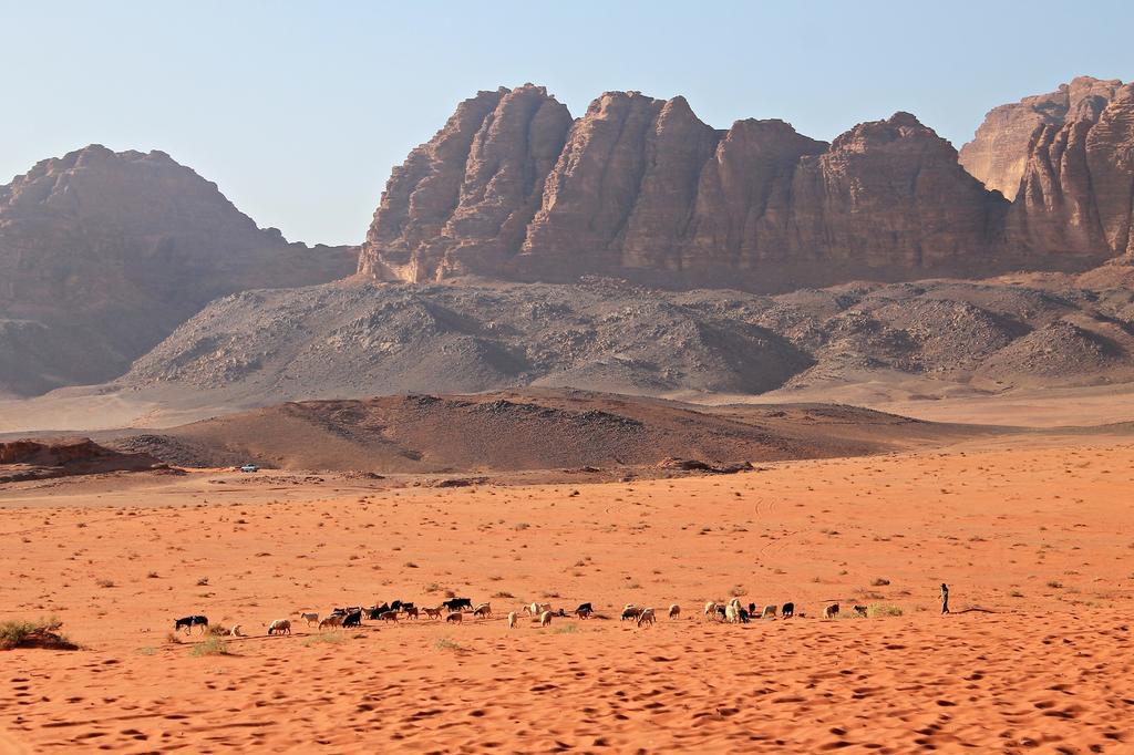 Wadi Rum Protected Area Camp Esterno foto