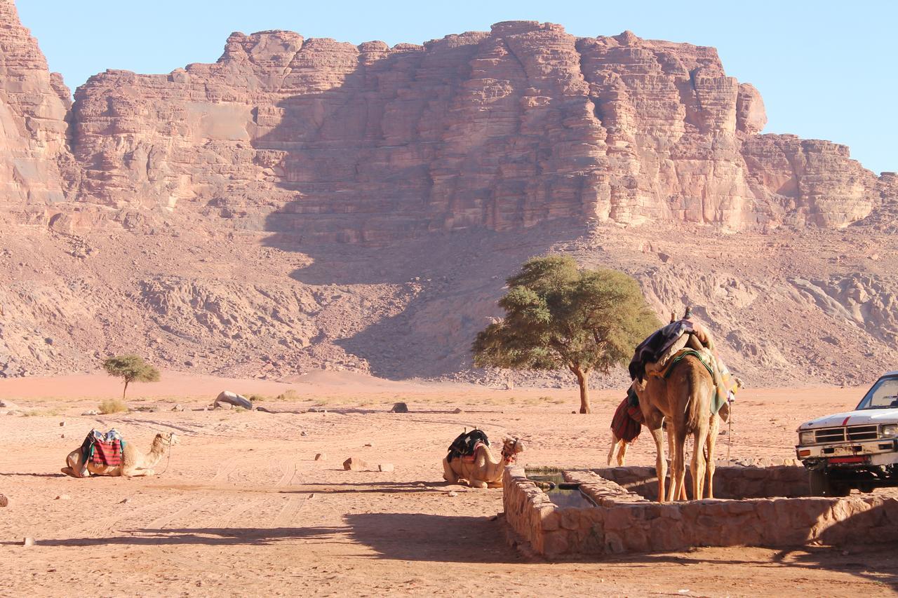 Wadi Rum Protected Area Camp Esterno foto