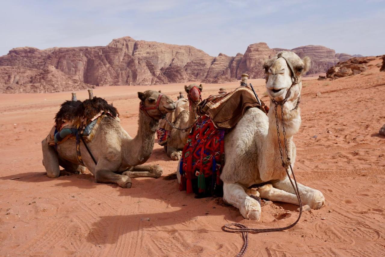 Wadi Rum Protected Area Camp Esterno foto