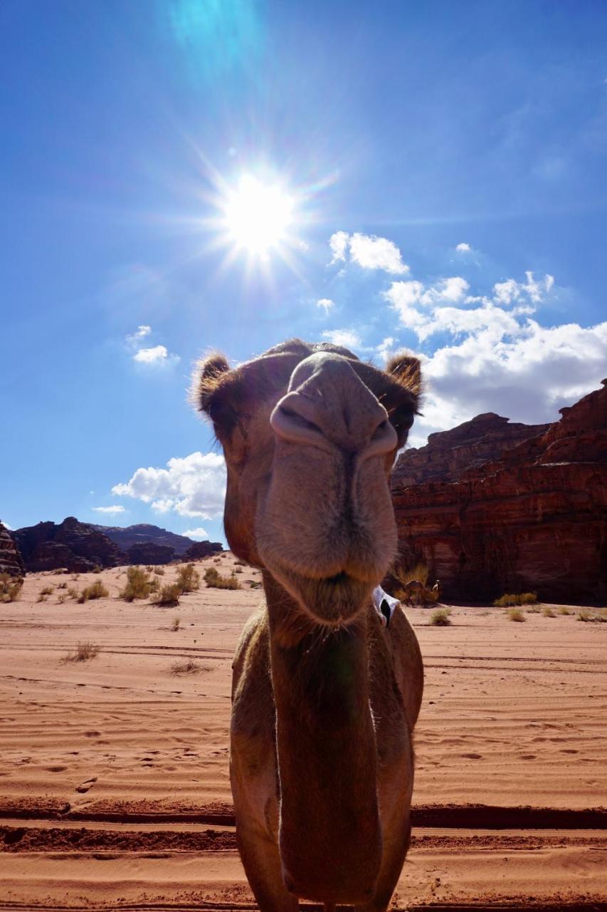 Wadi Rum Protected Area Camp Esterno foto