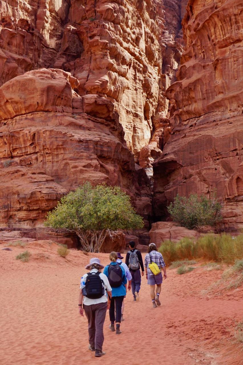 Wadi Rum Protected Area Camp Esterno foto